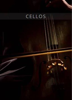 大提琴音源Auddict United Strings of Europe: Cellos KONTAKT