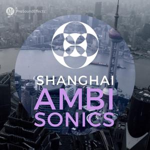 音效素材Pro Sound Effects Shanghai Ambisonics WAV